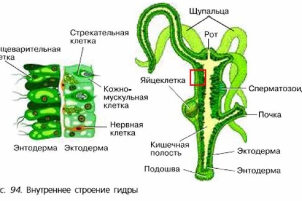 Что такое кракен маркет