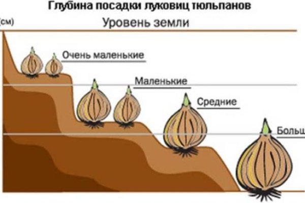 Кракен ссылка даркнет