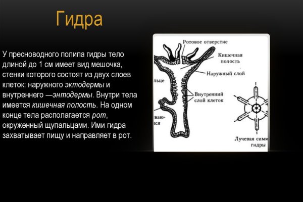 Через какой браузер зайти на кракен